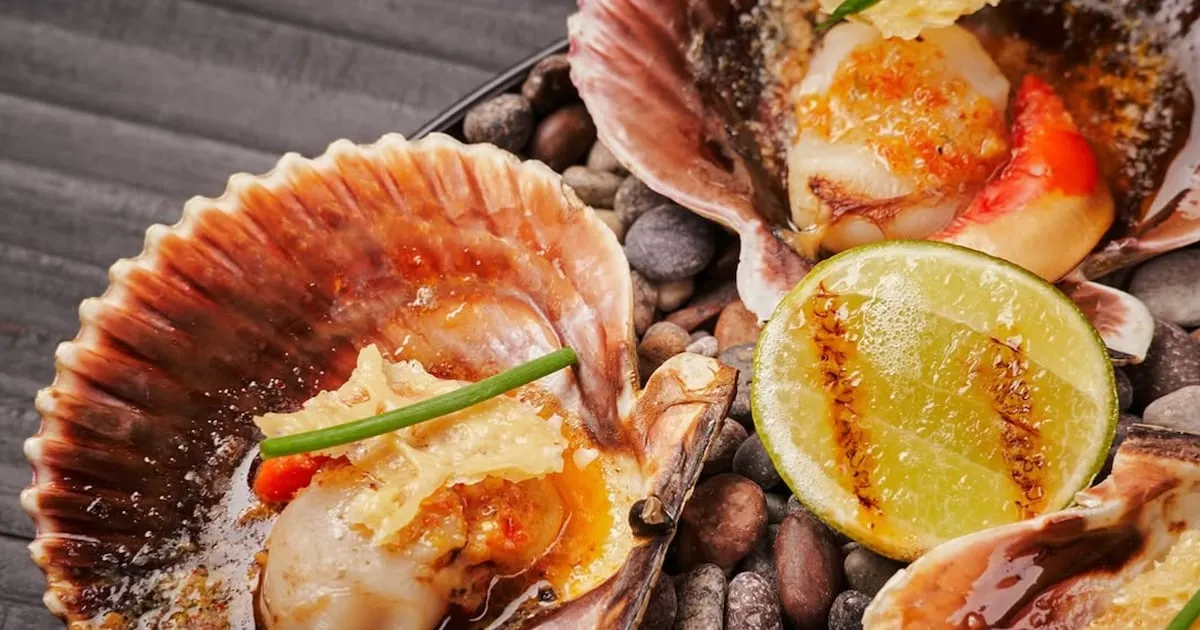 Misceláneo: Tu Inversión Experiencial en la Auténtica Chile