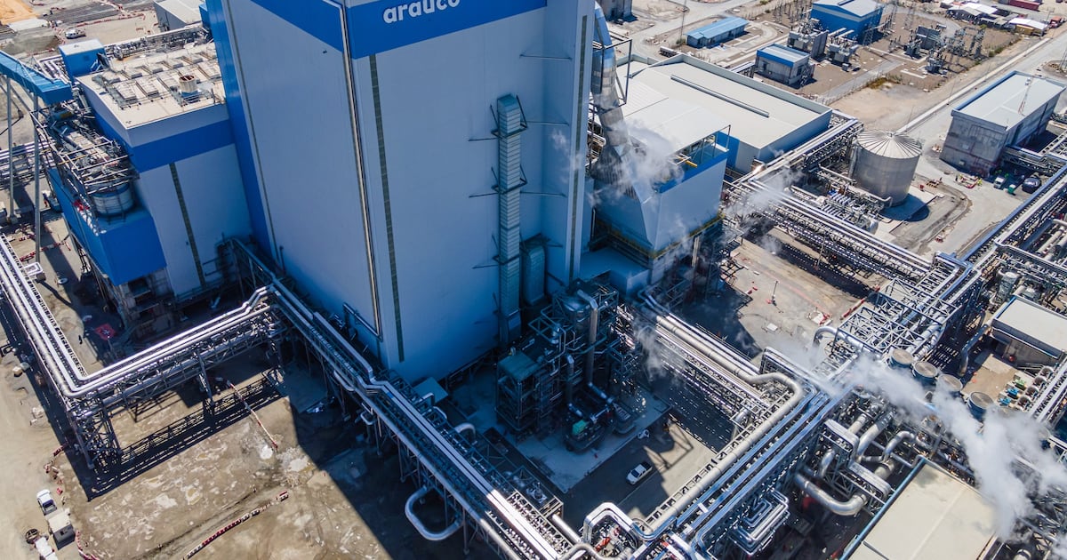 Arauco: Bono Récord de US$800M Impulsa Mercado Financiero Chileno