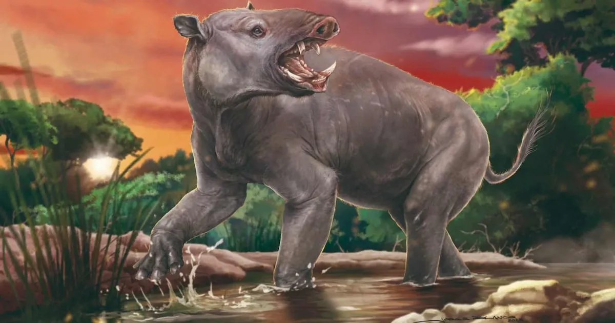 Patagonia: El Diente Fósil que Vale Más que el Dólar Hoy