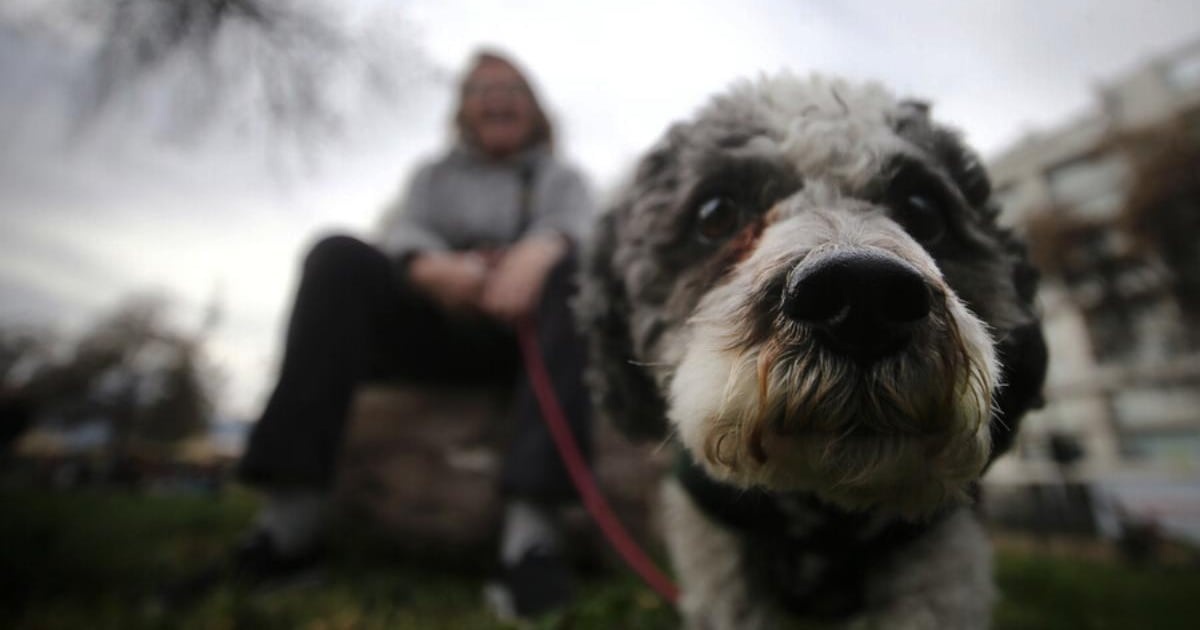 Noticia sobre Santiago: Calor Extremo da Paso a Lluvias Inesperadas en Diciembre